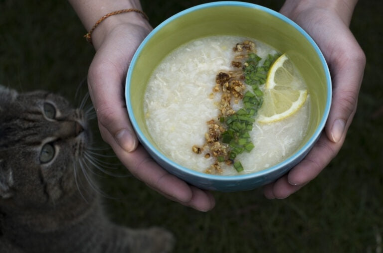 Lugaw, troosteten uit de Filipijnen